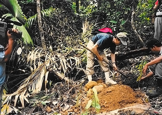 植林する志野流香道二十世家元蜂谷幽光斎宗玄宗匠